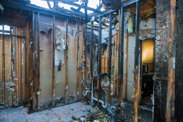 Professional Fire Damage Removal technician working in Hayneville, AL